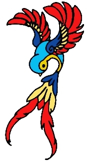Card image cap